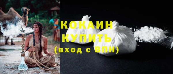 прущие грибы Михайловск
