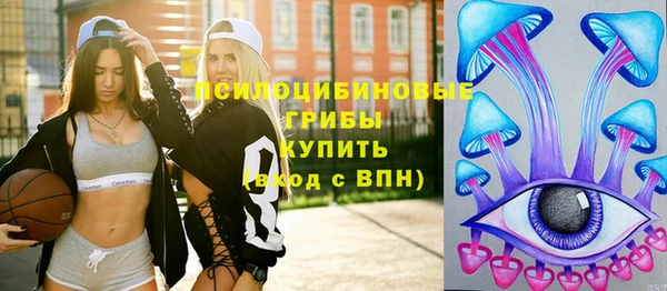 ПСИЛОЦИБИНОВЫЕ ГРИБЫ Медвежьегорск