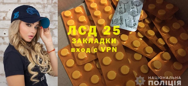 ПСИЛОЦИБИНОВЫЕ ГРИБЫ Медвежьегорск
