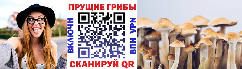 Псилоцибиновые грибы прущие грибы  Луза 